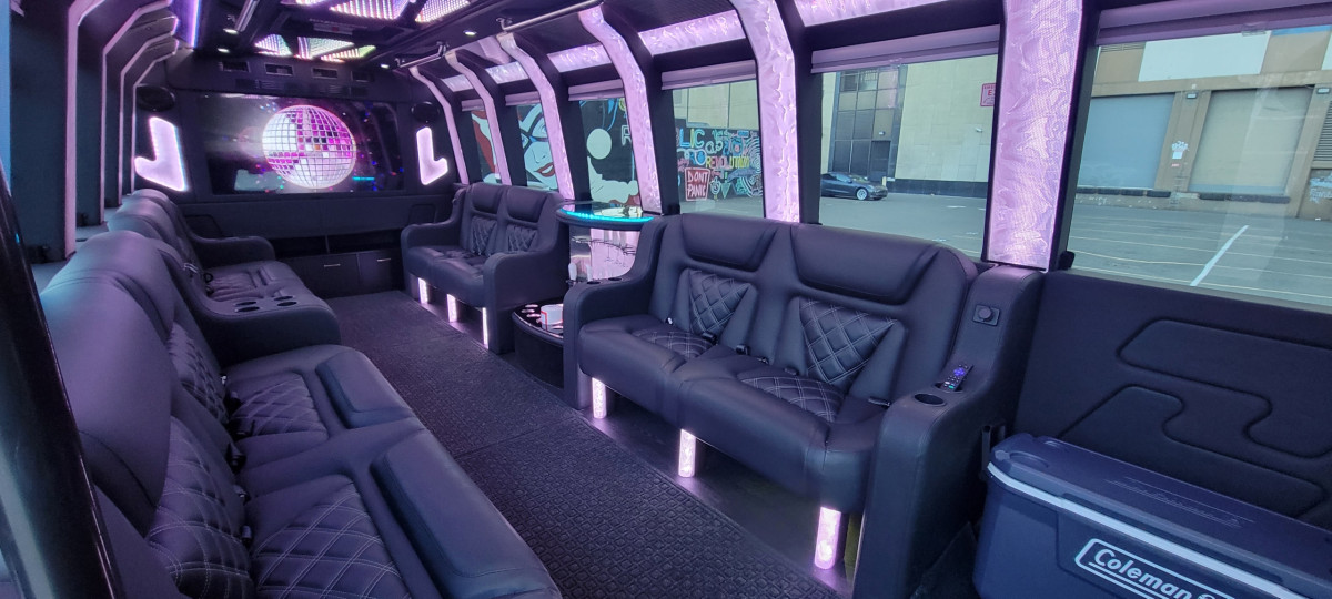 Ford Limo Bus Seats 14 people No Problem