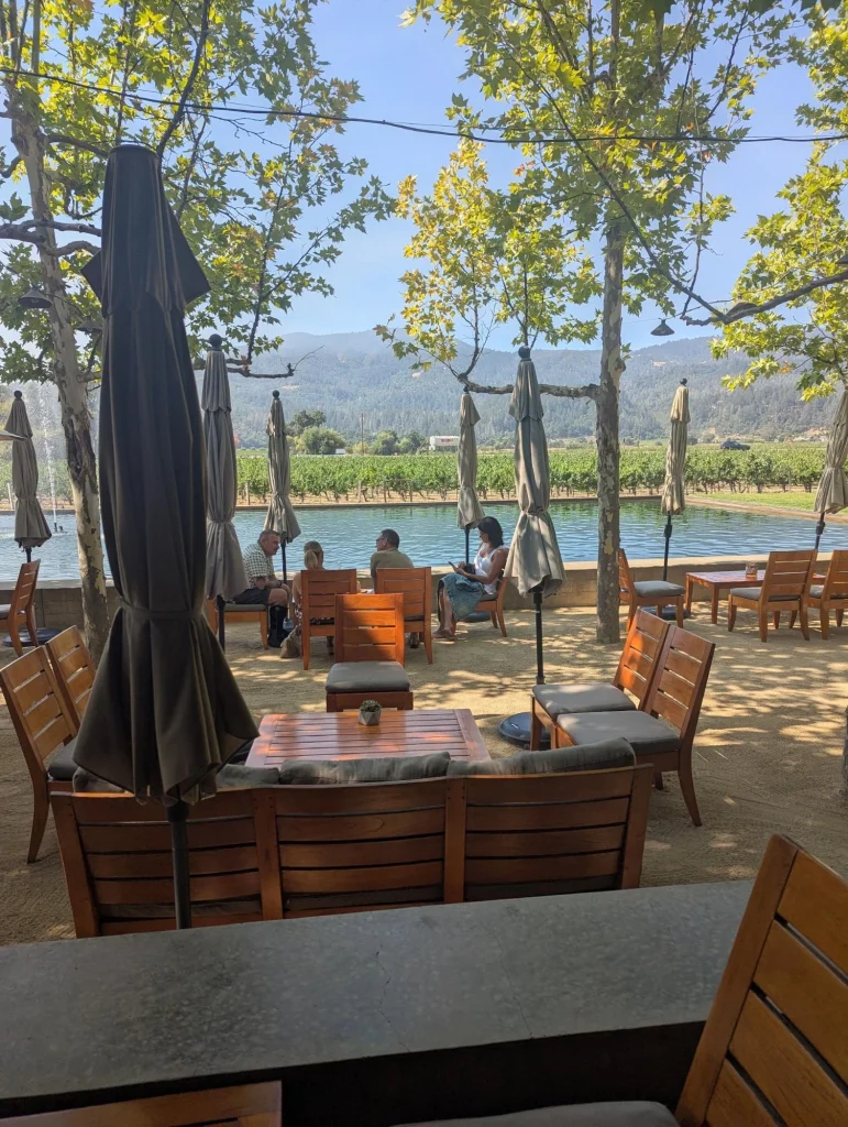 driver for napa wine tasting