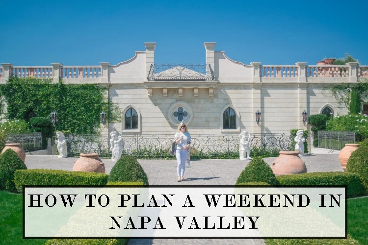 my napa valley driver
